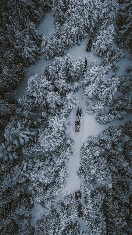 Kulig dolina Kościeliska